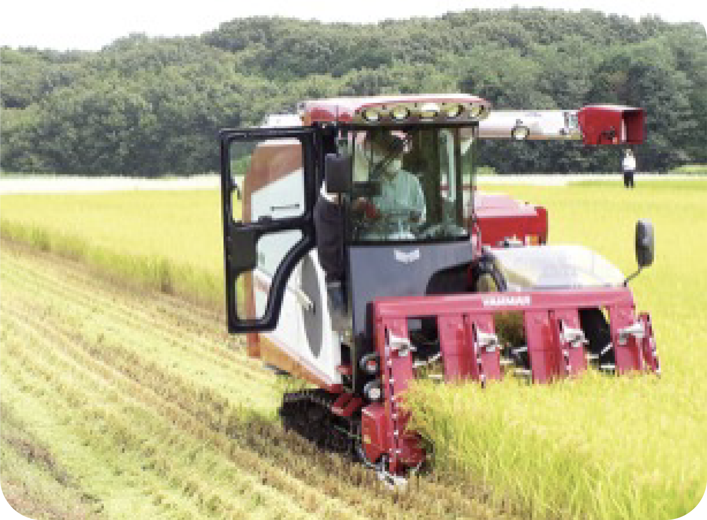 Red tractor in field