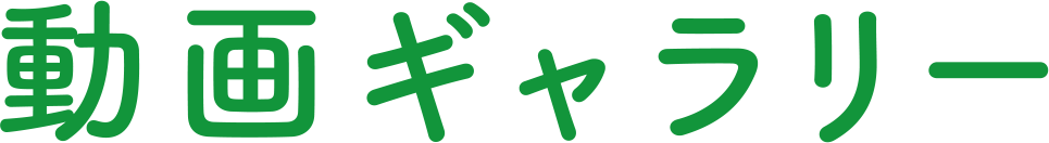 動画ギャラリー