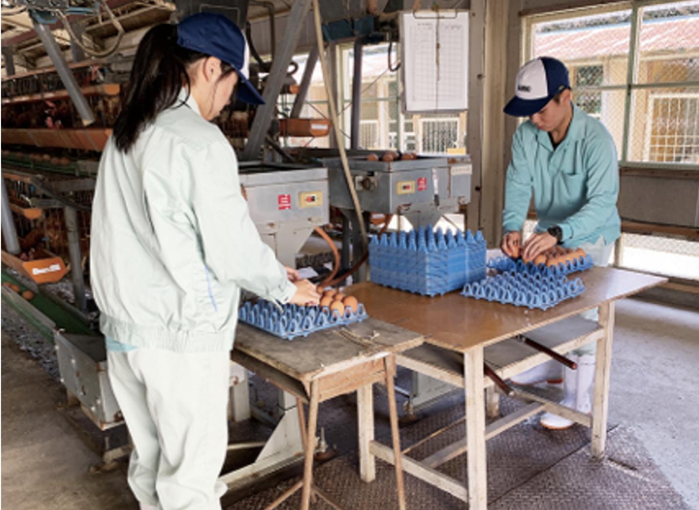 Woman and man working with produce